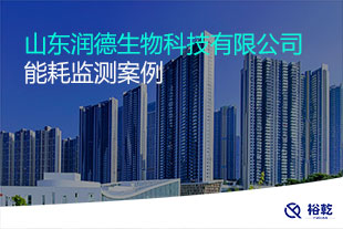 山东润德生物科技有限公司能耗在线监测案例